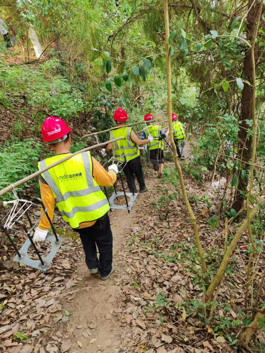 錨定目標協同作戰 信達電通閬中項目最新進展來襲！15